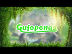 Jurassic Age Figuurtje Speelgoed 20 PCS Mini Dinosaurus Figuurtje Set Handgeschilderd